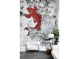 Koi re-edition