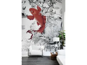 Koi re-edition