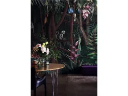 Looks in the Forest