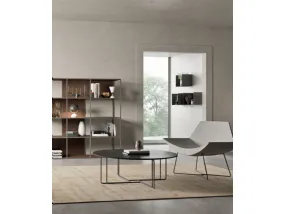 Aster Legno