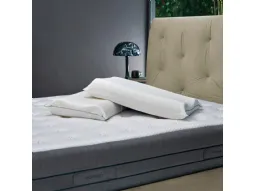Swan HD