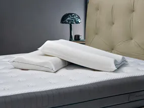 Swan HD