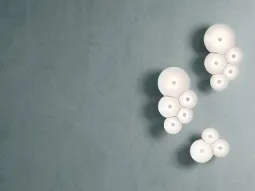 Bulbullia