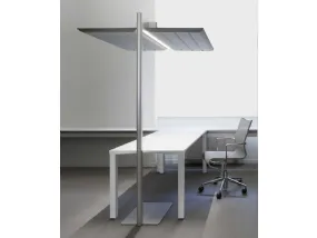 Diade Floor da terra