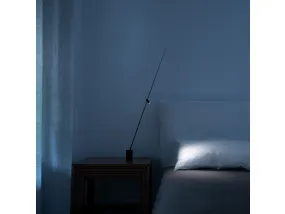 FM
