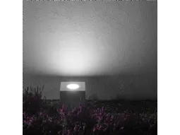 Q2