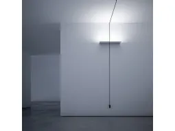 Reflex