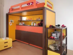 Boxer Arancio e Frassino