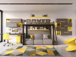Boxer Grigio e Giallo Limone