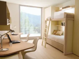 Boxer Rovere e Crema